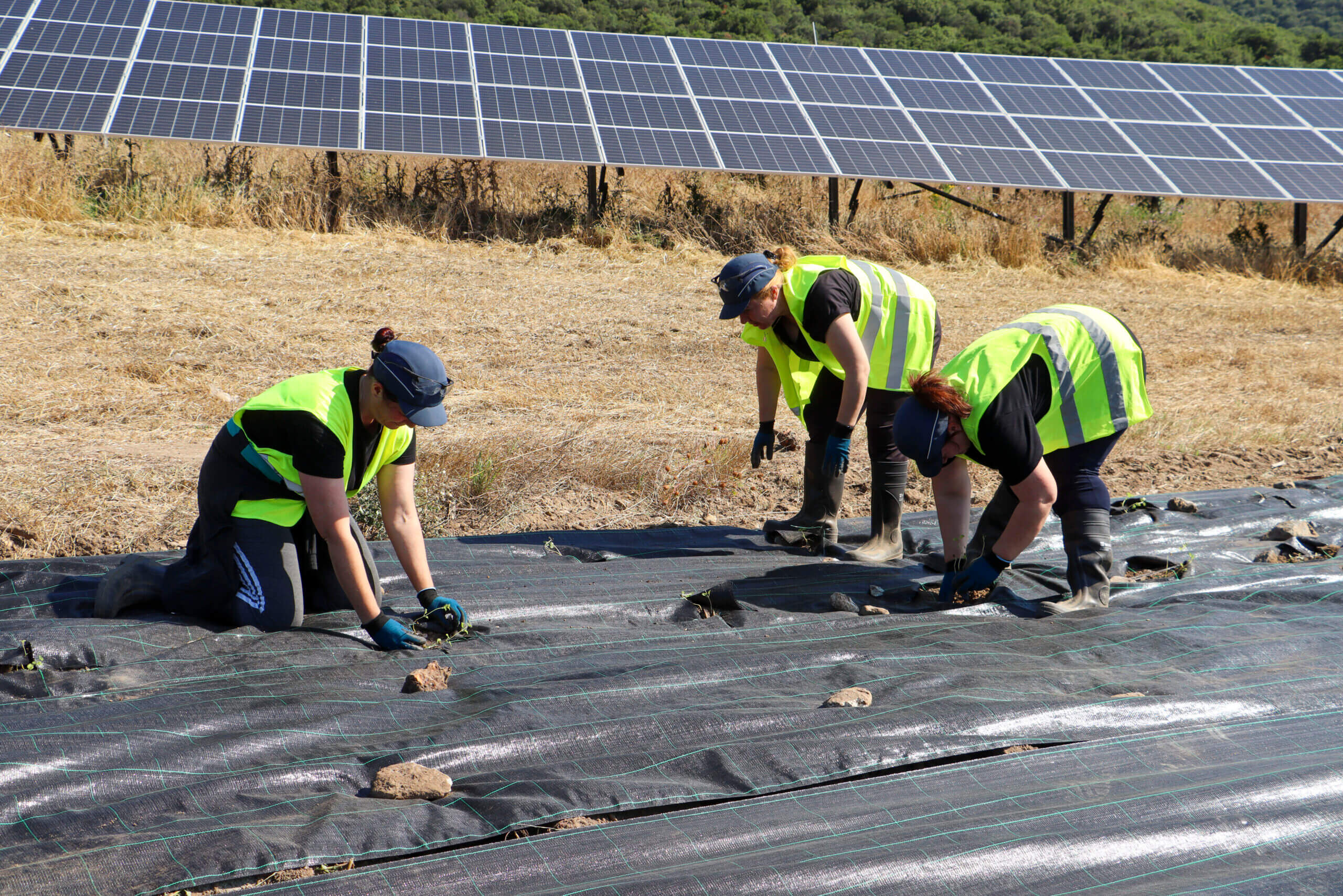 Vamvakies Social Green Project