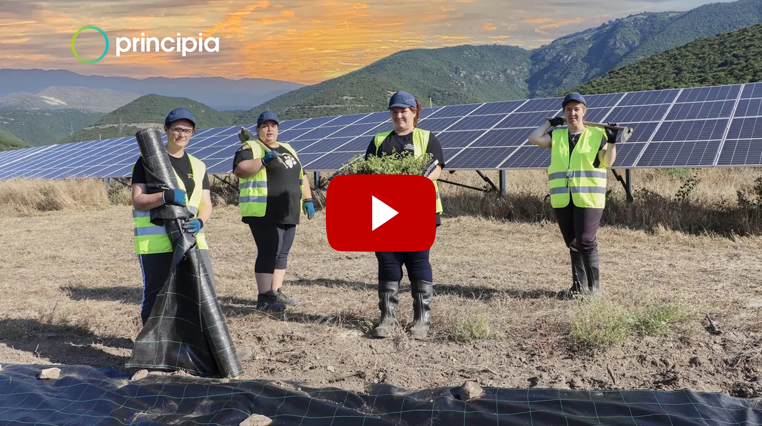 Εκπαιδευτικό Πρόγραμμα Vamvakies, A Social Green Project